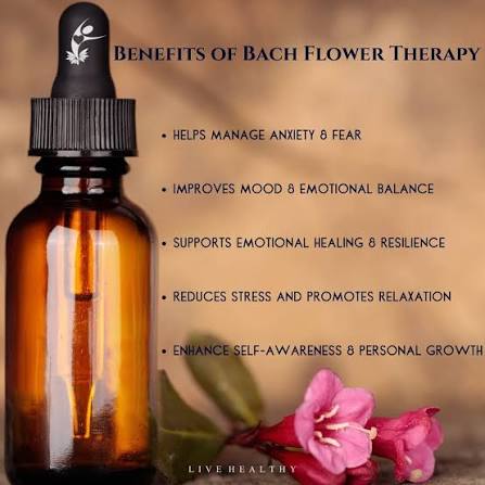 Bach Flower Consultation